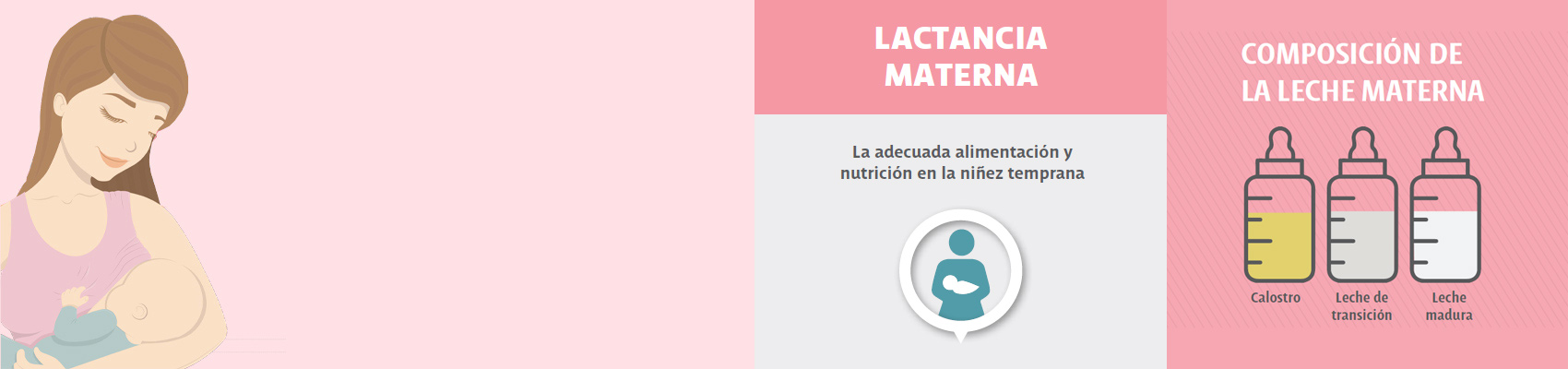 Lactancia materna: Beneficios, tipos de leche y composición