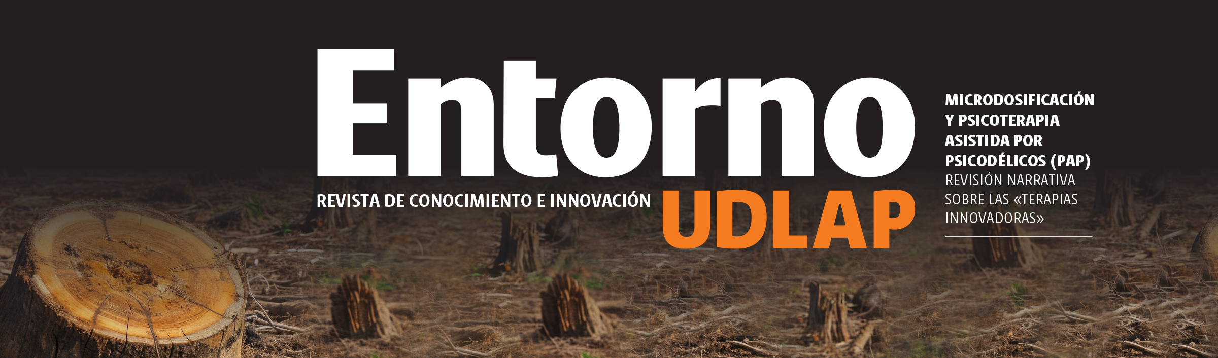 Revista Entorno UDLAP, núm. 22